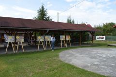 Den-medu-a-pisnicek-2022085